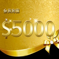 会员充值 $5000刀纽币 送一年康路VIP会员