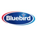 Bluebird